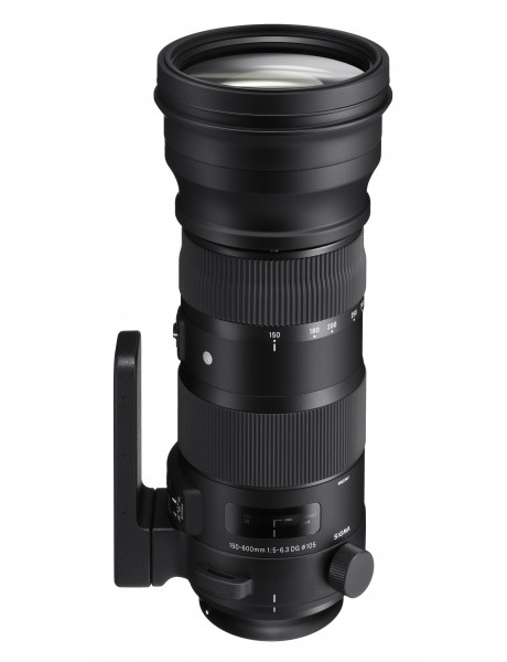 Sigma 150-600mm F5-6.3 DG OS HSM | Sports | Nikon F mount