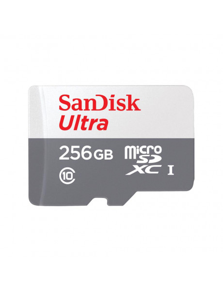 SDSQUNR-256G-GN3MN SanDisk Ultra microSDXC 256GB 100MB/s Class 10 UHS-I, EAN: 619659196516