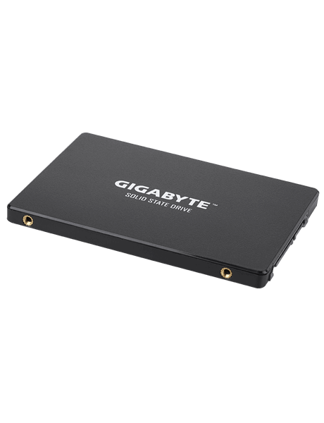 SSD|GIGABYTE|256GB|SATA 3.0|Write speed 500 MBytes/sec|Read speed 520 MBytes/sec|2,5