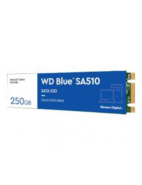 SSD|WESTERN DIGITAL|Blue SA510|250GB|M.2|SATA 3.0|Write speed 440 MBytes/sec|Read speed 555 MBytes/sec|2.38mm|TBW 100 TB|MTBF 1750000 hours|WDS250G3B0B