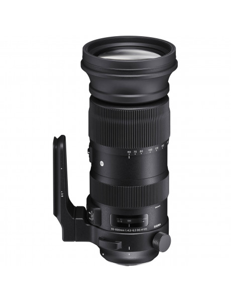 Sigma 60-600mm F4.5-6.3 DG OS HSM | Sports | Nikon F mount