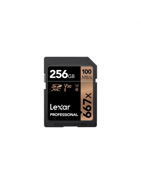 Atminties kortelė Lexar Pro SDXC 256GB 667x 100MB/s