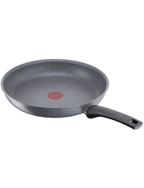 TEFAL | G1500572 Healthy Chef | Pan | Frying | Diameter 26 cm | Suitable for induction hob | Fixed handle | Dark grey