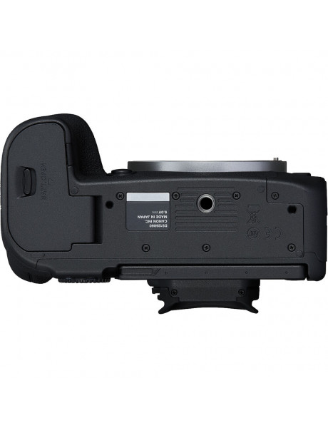 Canon EOS R6 Mark II + RF 24-240mm f/4-6.3 IS USM + Mount Adapter EF-EOS R