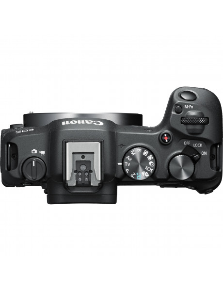 Canon EOS R8 + RF 24-240mm f/4-6.3 IS USM + Mount Adapter EF-EOS R