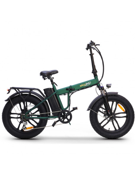 Elektrinis dviratis SKYJET 20 Nitro Pro žalias
